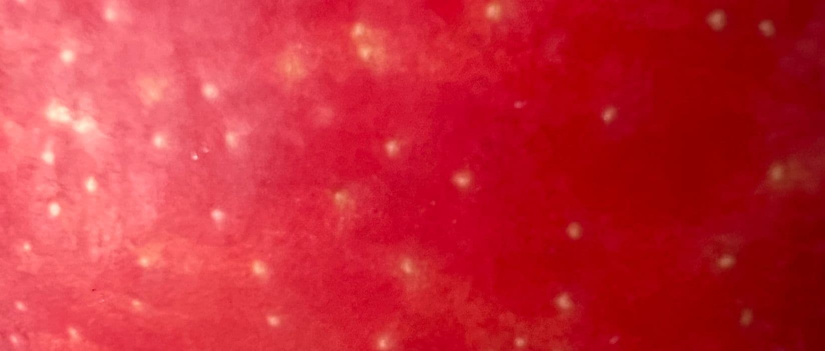 it's a honeycrisp apple